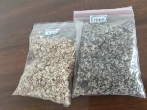 Enoki grow in China